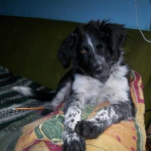 Meet your Posher, Vicky